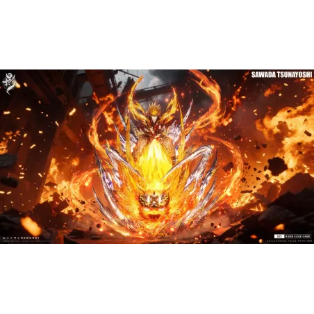 Katekyo Hitman Reborn Sawada Tsunayoshi LueYing Studio