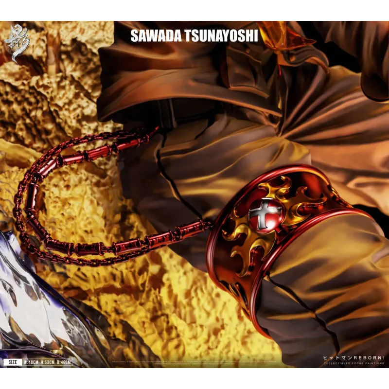 Katekyo Hitman Reborn Sawada Tsunayoshi LueYing Studio
