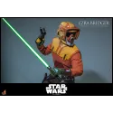 Star Wars Rebels Ezra Bridger Hot Toys