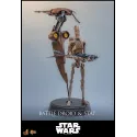 Star Wars: The Phantom MenaceBattle Droid & STAP Hot Toys