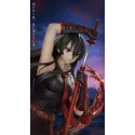 Akame Ga Kill! Akame Chao She Studio