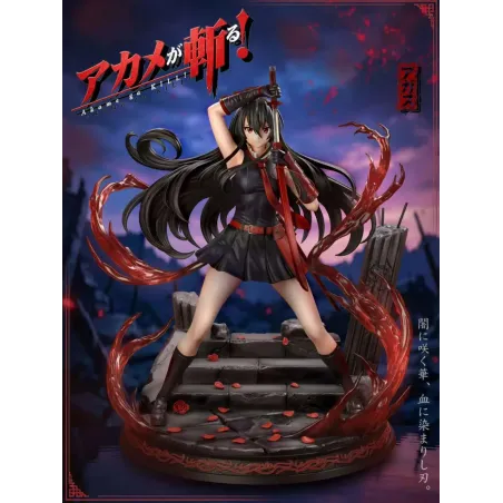 Akame Ga Kill! Akame Chao She Studio