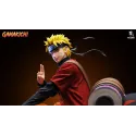Naruto Shippuden Naruto & Gamakichi Nocturne Studio x ICE Studio
