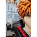 Bleach Kurosaki Ichigo WoYo Studio & Model Power Studio