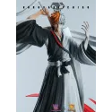 Bleach Kurosaki Ichigo WoYo Studio & Model Power Studio