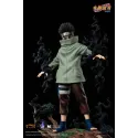Naruto Shippuden Aburame Shino Pickstar Studio