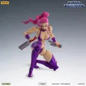 Captain Commando Carol & Captain Commando 52toys