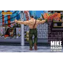 Final Fight Mike Haggar Storm Collectibles