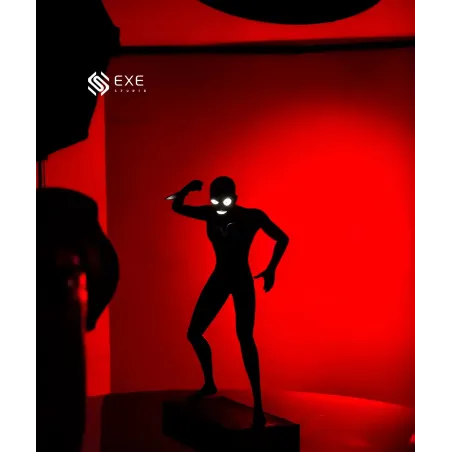 Detective Conan True Criminal EXE Studio
