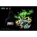 One Piece Brook Jimei Palace