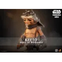 Star Wars: The Mandalorian & Grogu Keeto Anzellan Droidsmith Hot Toys