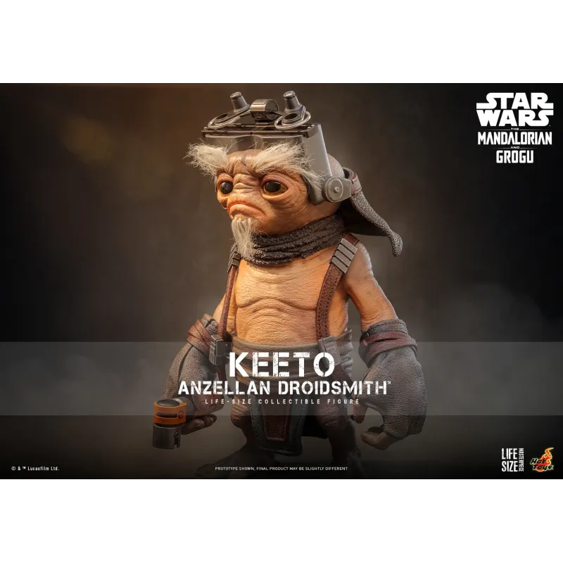 Star Wars: The Mandalorian & Grogu Keeto Anzellan Droidsmith Hot Toys