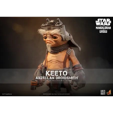 Star Wars: The Mandalorian & Grogu Keeto Anzellan Droidsmith Hot Toys