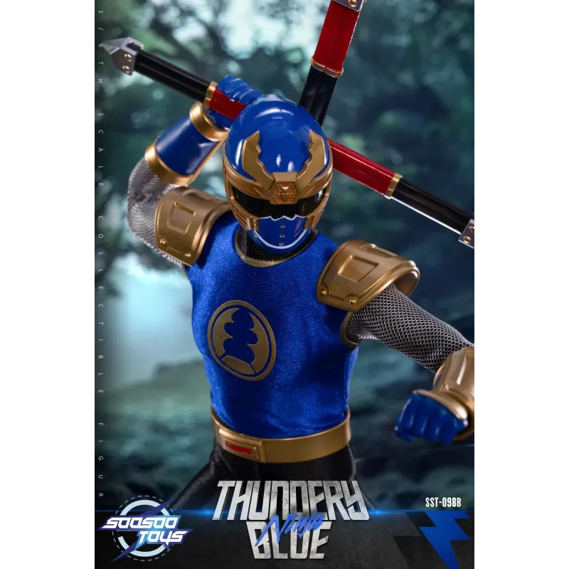Power Rangers Thundery Red Ninja & Thunder Blue Ninja SooSooToys