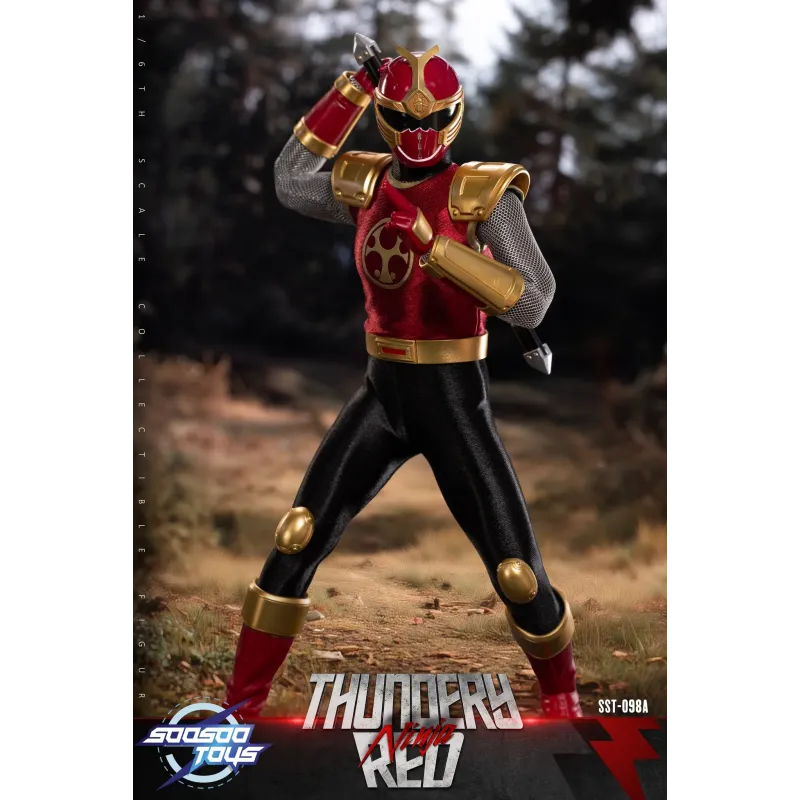 Power Rangers Thundery Red Ninja & Thunder Blue Ninja SooSooToys