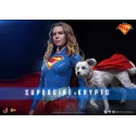 DC Supergirl & Krypto Hot Toys