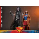 DC Supergirl & Krypto Hot Toys