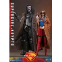 DC Supergirl & Krypto Hot Toys