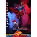 DC Supergirl & Krypto Hot Toys