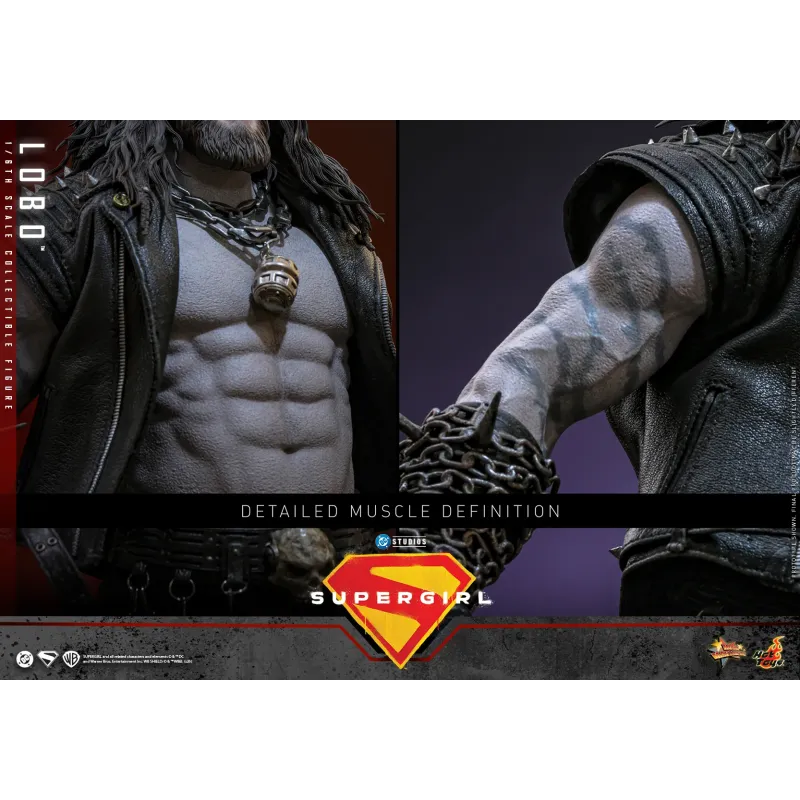 DC Supergirl Lobo Hot Toys