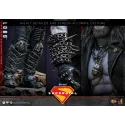 DC Supergirl Lobo Hot Toys
