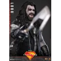 DC Supergirl Lobo Hot Toys