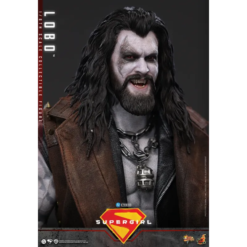 DC Supergirl Lobo Hot Toys
