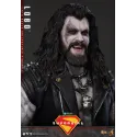 DC Supergirl Lobo Hot Toys