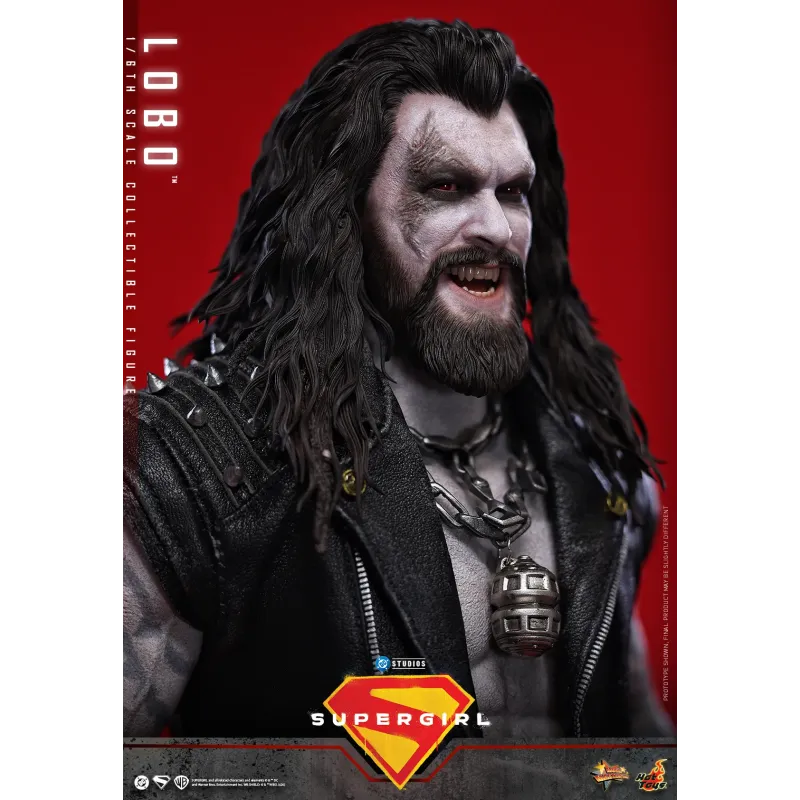 DC Supergirl Lobo Hot Toys