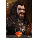 DC Supergirl Lobo Hot Toys