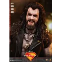 DC Supergirl Lobo Hot Toys