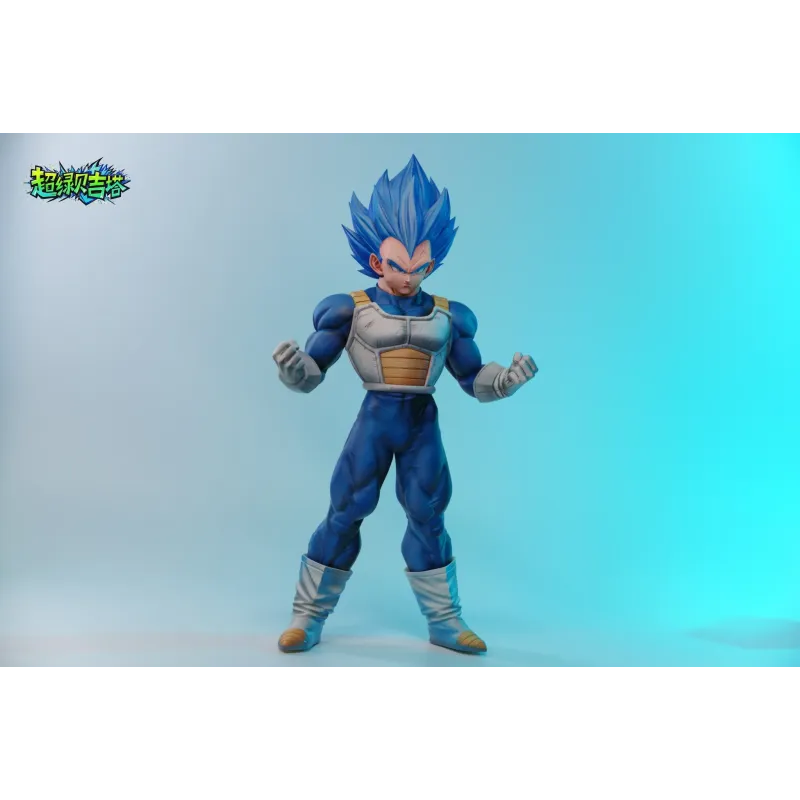 Dragon Ball Super Vegeta SSJB WJT Studio