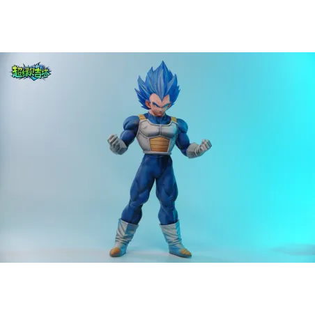 Dragon Ball Super Vegeta SSJB WJT Studio