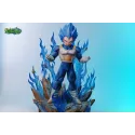 Dragon Ball Super Vegeta SSJB WJT Studio