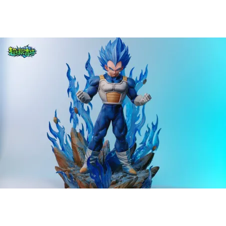 Dragon Ball Super Vegeta SSJB WJT Studio