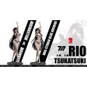 Blue Archive Tsukatsuki Rio BB Girl Studio