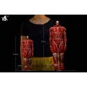 Attack on Titan Colossal Titan (Rumbling) Wizard Model Toys
