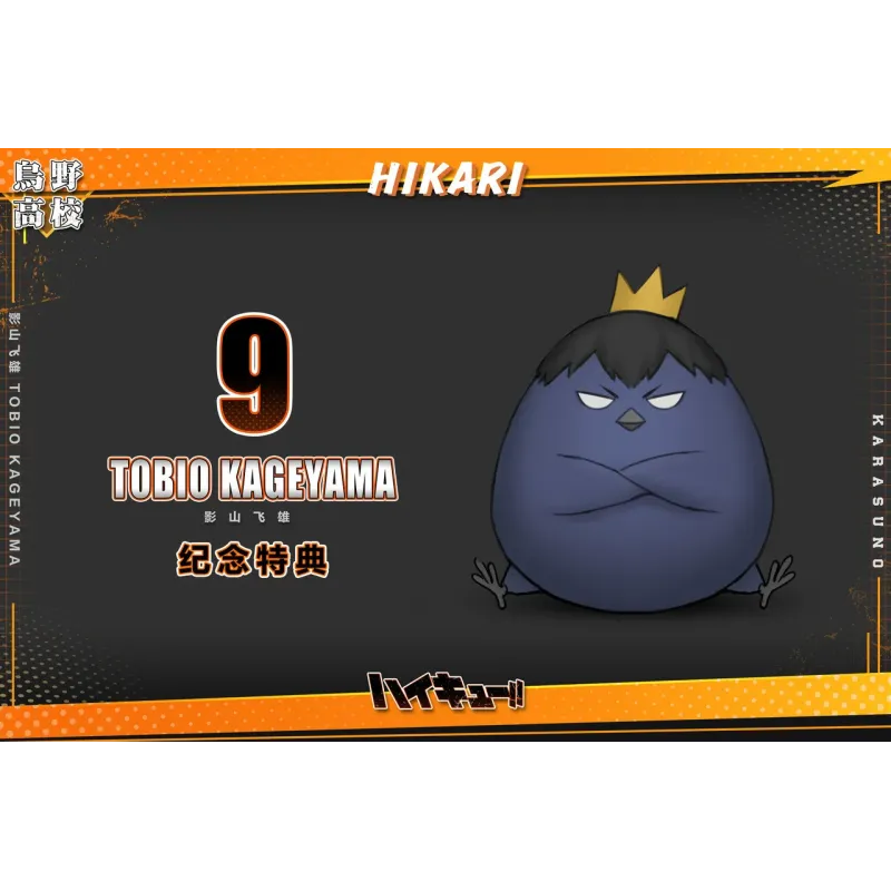 Haikyuu Kageyama Tobio Hikari Studio