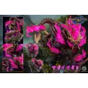 Monster Hunter Magnamalo Ashes Studio