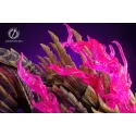 Monster Hunter Magnamalo Ashes Studio
