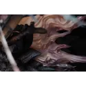 Attack on Titan Levi vs Reiner Sure Studio