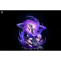 Pokemon Mewtwo Evolution Phoenix Studio