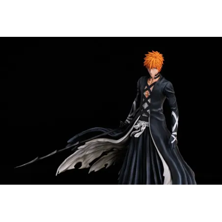 Bleach Kurosaki Ichigo Muzi Studio