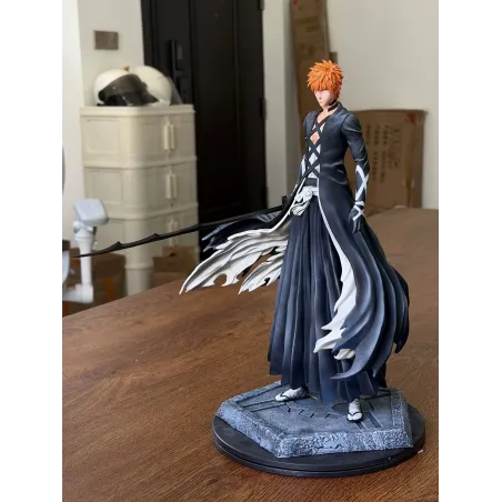 Bleach Kurosaki Ichigo Muzi Studio