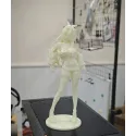 Honkai: Star Rail Silver Wolf LV.999 Miwu Studio