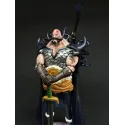 One Piece Harald AR Studio