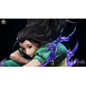 Hunter x Hunter Illumi Zoldyck & Hisoka Icy Studio