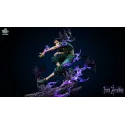 Hunter x Hunter Illumi Zoldyck & Hisoka Icy Studio