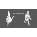 Hunter x Hunter Illumi Zoldyck & Hisoka Icy Studio