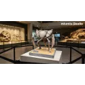 Pokémon Fossil Museum Series Kabutops X Kabuto Miumiu Studio